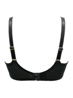 Pour Moi Soiree Embroidery Padded Bra - Multi -RIVE IS Clothing Shop 10Z0A SQ5 0000000029 MULTI MDd1