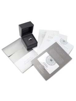 Beaverbrooks 9ct White Gold Diamond Freshwater Cultured Pearl Pendant And Earrings Set -RIVE IS Clothing Shop PTXTD SQ5 0000000088 NO COLOR SLd2