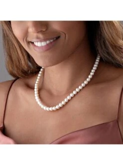 Beaverbrooks Silver Freshwater Pearl Single Row Necklace -RIVE IS Clothing Shop PTXUK SQ7 0000000088 NO COLOR SLd4