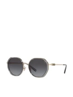 COACH Round Sunglasses - Transparent Grey / Shiny Light