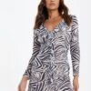 Quiz Zebra Print Mesh Mini Dress