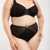 Oola Soft Mesh Hi Waist Brief - Black
