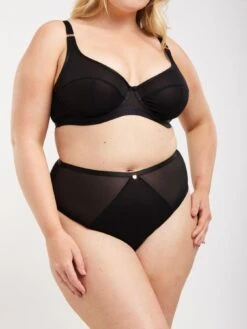 Oola Soft Mesh Hi Waist Brief - Black