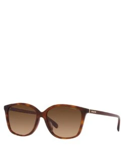 COACH Square Acetate Sunglasses