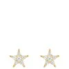 Inicio 14K Gold Plated   Cubic Zirconia Star Stud Earrings