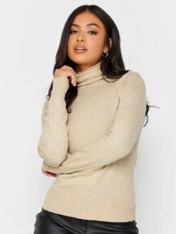 PixieGirl Petite Roll Neck Jumper