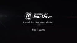 Citizen LADIES CLASSIC DRESS Watch -RIVE IS Clothing Shop VRA6D SQ8 0000000028 PEARL DVvL