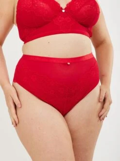 Oola Lace & Logo High Waist Light Control Brief