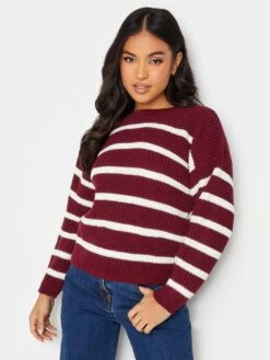 PixieGirl Petite Wine Stripe Crew Neck Jumper